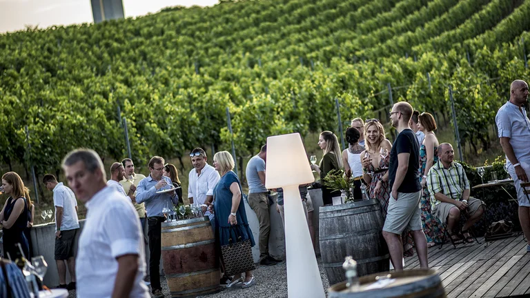 In the Small Carpathians region, just outside the capital, you can choose from dozens of historic cellars and cosy wineries serving award-winning wines. Sip ruby-red Blaufrankisch ("Frankovka"), a favourite of Empress Maria Theresa herself, at the popular autumn wine festivals. © Valentina Nidelová, Terra Parna
