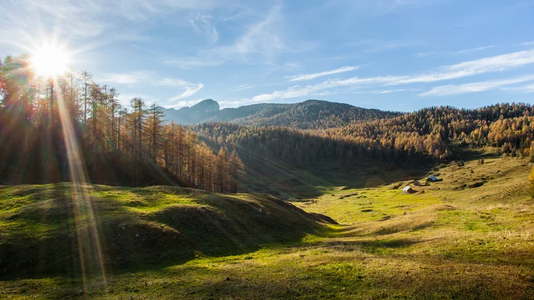 Mountain meadow klek ©ales zdesar