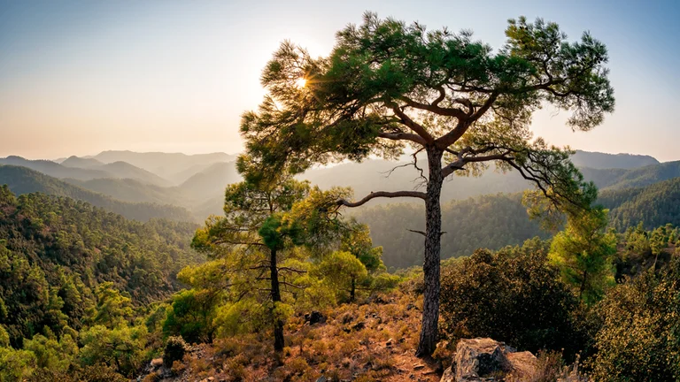 The Troodos mountain range, a scenic landscape, it represents the deepest layer of oceanic crust and the Earth's upper mantle, forming an ophiolite complex from 90 million years ago, 8,000 meters below sea level. ©Cyprus Deputy Ministry of Tourism