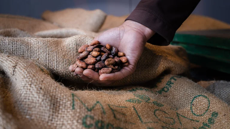© Obidos Chocolate Festival