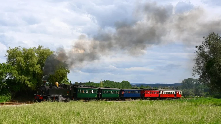 Ride the historic Vouga train and passing through Carvalhal-da-Portela.
