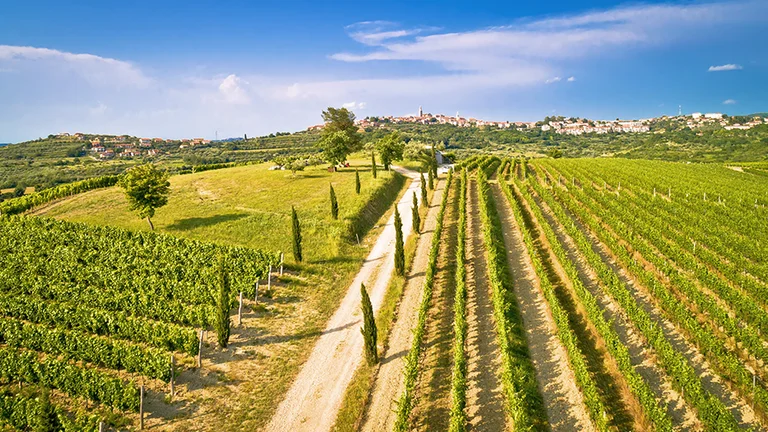 panoramic road in Završje through the fields