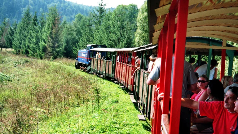 Feel as if you're part of the landscape on the Bieszczady Forest Railway - a real choo-choo train!