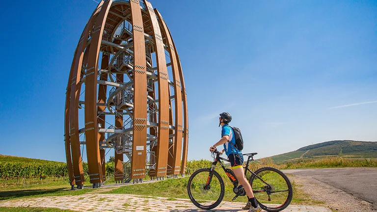 where legendary Tokaj wine is produced