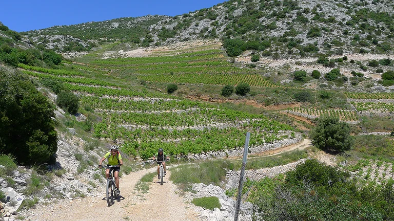 cycling between hills and mountains near Pelješac.