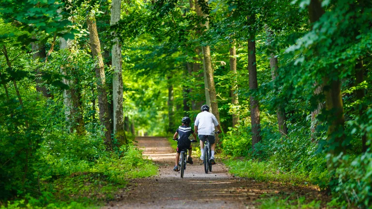 Seeking cool, green shade? Choose the cycling paths of VeloNatura.