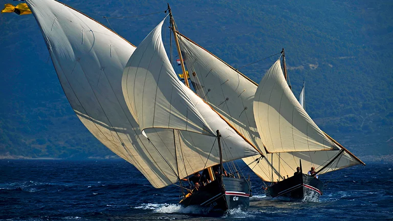 Glory in the sight of filled sails during the Rota Palagružon.