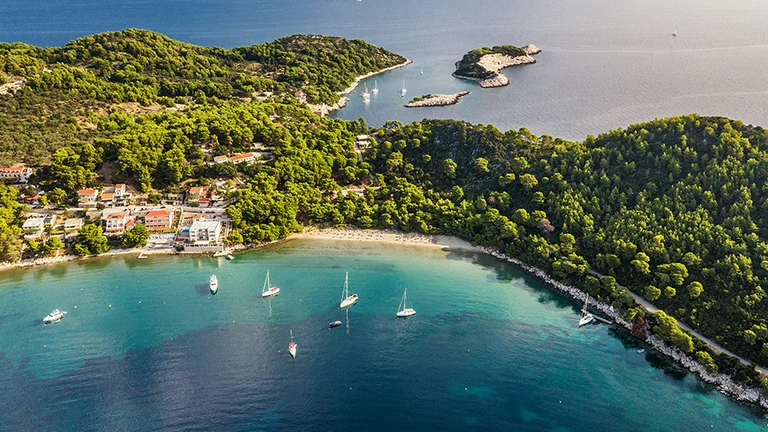 Will you arrive in Mljet's Saplunara Bay by boat?