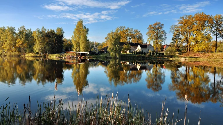 Bask in delightful nature at the ponds in the Třeboň region.
