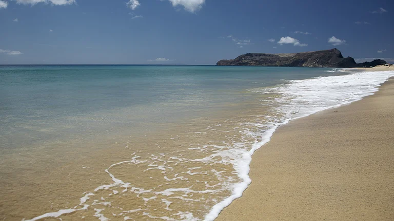 Take that long, sandy walk at Madeira's Porto Santo Beach.