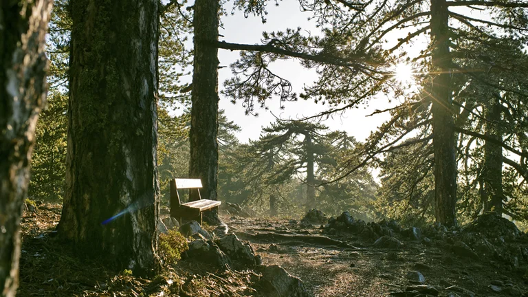 Take a break on your hike along the Artemis Trail in Troodos to soak up the beautiful surroundings.