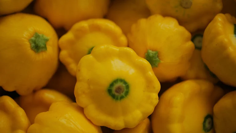 Glory in fresh yellow squash from the market.