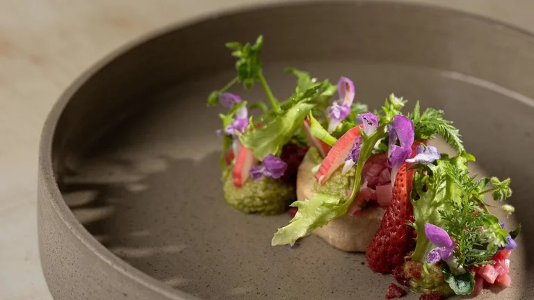Inventive vegan dishes at Galerija okusov include vegan hazelnut cheese.