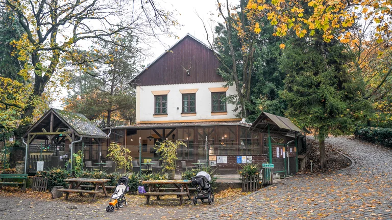 Rustic café or small restaurant nestled in a forested park, with outdoor seating, autumn leaves on the ground, and strollers parked nearby.