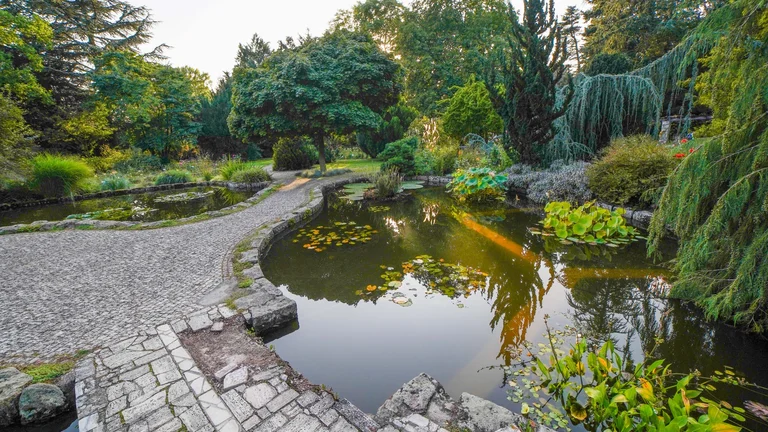 Tranquil botanical garden scene with a pond filled with water lilies, surrounded by cobblestone paths and lush greenery under the soft glow of the setting sun.