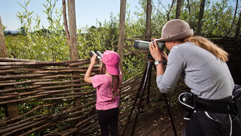 A child and an adult observe wildlife using binoculars and a spotting scope from a wooden lookout surrounded by greenery.