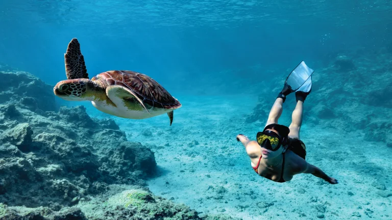 A diver in red swimwear swims gracefully underwater alongside a sea turtle amidst a clear blue ocean and rocky seabed.