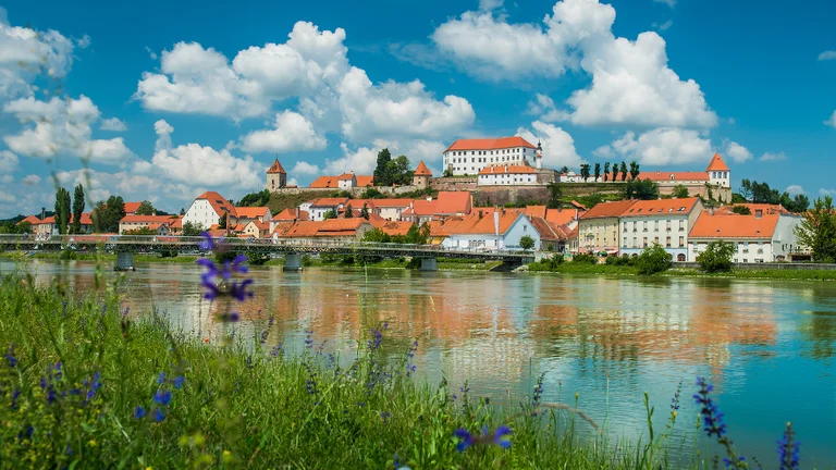A picturesque image of Ptuj, a riverside town with red-roofed buildings and a castle, under a bright blue sky with fluffy clouds and wildflowers in the foreground.