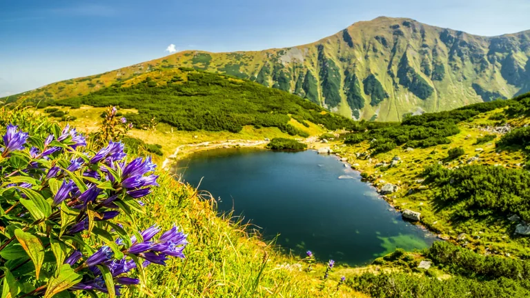 A serene mountain landscape featuring a reflective lake, surrounded by green hills and vibrant purple flowers in the foreground.