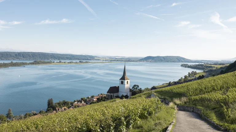 A tranquil lakeside view featuring a church spire, surrounded by lush vineyards and rolling hills under a clear blue sky.