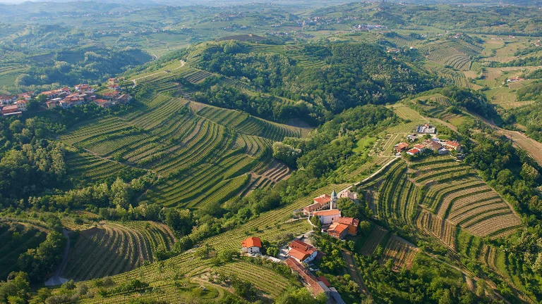 Aerial view of lush green hills featuring terraced vineyards and small village homes, with rolling countryside stretching into the distance.