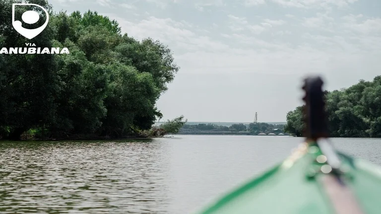 A view from a kayak on a calm river, surrounded by lush greenery and distant industrial structures under a cloudy sky.