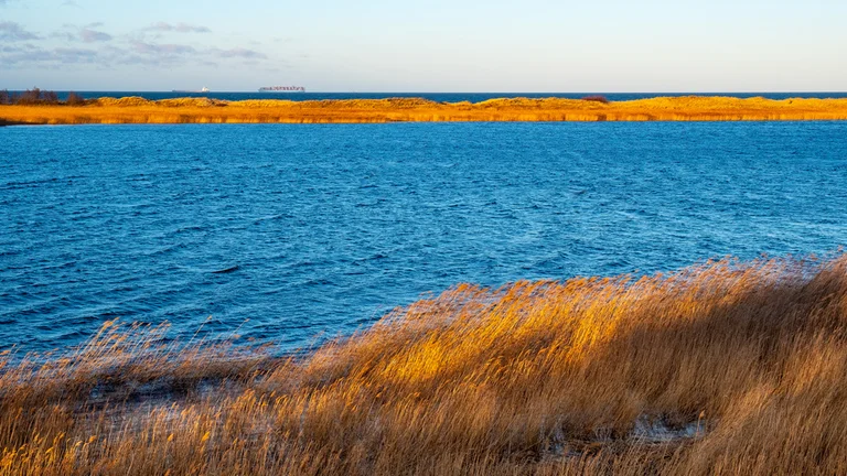 A tranquil scene of blue waters bordered by golden grasses and distant dunes under a clear sky, with boats visible on the horizon.