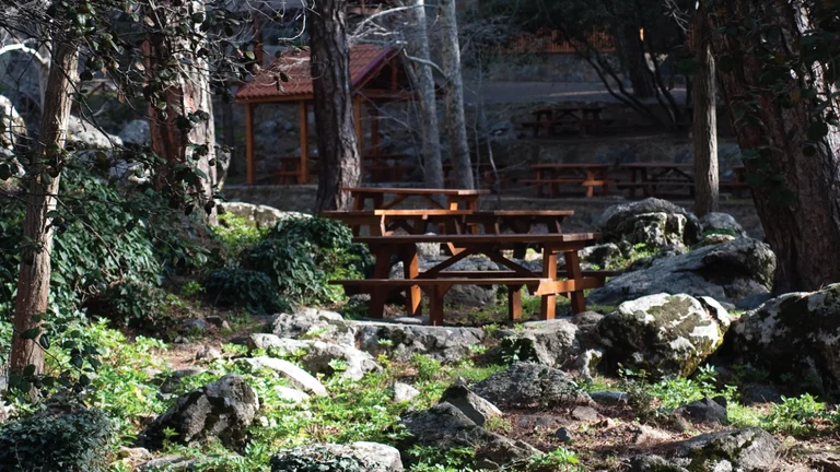 Wooden picnic tables scattered among trees and mossy rocks in a peaceful forest clearing, offering a serene natural escape.
