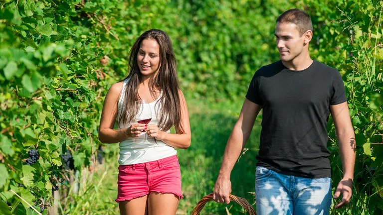 A young couple walking through lush vineyards, carrying a basket of freshly harvested grapes and a glass of wine.