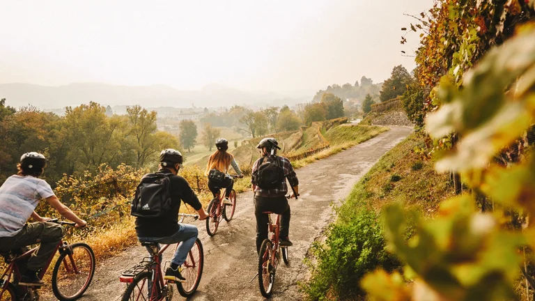 Cyclists riding through Ticino vineyards in Switzerland on a wine and bike tour.