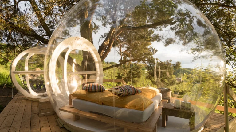 Bubble hotel room in the vineyards at Arenenberg, Switzerland, offering a unique wine tourism stay.