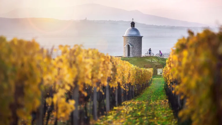Cyclists riding past a small chapel and vineyards in the Pálava wine region, South Moravia.
