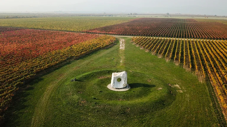 Aerial view of colorful vineyards with a white stone monument in the Little Carpathians, Slovakia.