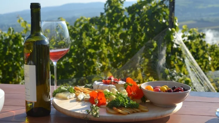 Glass of rosé wine with a bottle and cheese board decorated with herbs and edible flowers, set against a scenic vineyard in Poland.