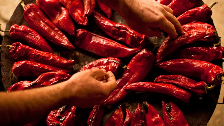 Hands arranging red peppers being roasted, the key ingredient for Serbian ajvar.