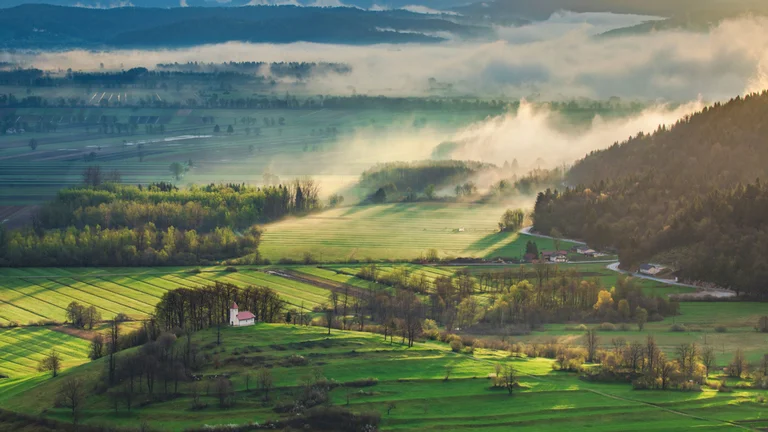 Rolling green fields and trees with morning mist and sunlight over a rural landscape.