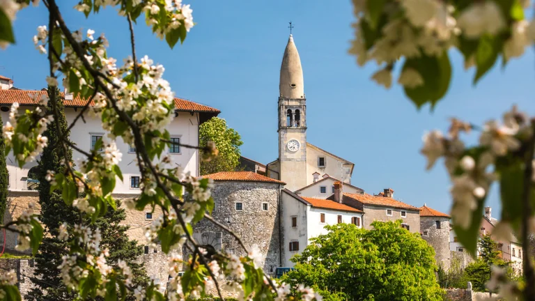 Church tower rises above village rooftops, framed by blooming tree branches and blue sky.