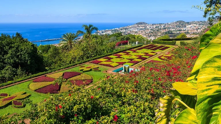 Colorful botanical garden with geometric flower beds overlooking the sea and cityscape.