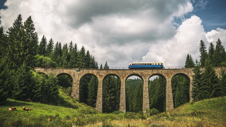 Blue train crossing a stone viaduct bridge in a lush green landscape with cows grazing below.