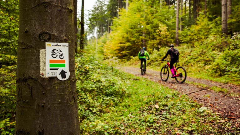 Two cyclists ride mountain bikes on a forest trail with a route sign on a tree.