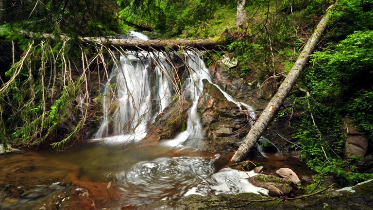 Small waterfall flowing over rocks in a lush green forest.