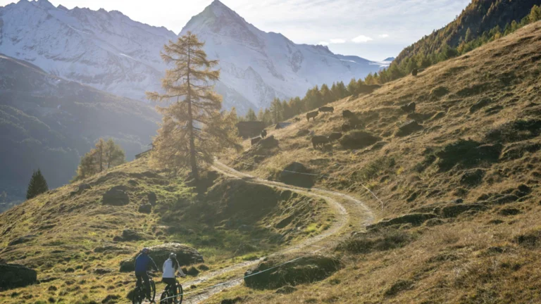 Two cyclists ride a winding mountain trail with snow-capped peaks in the background.