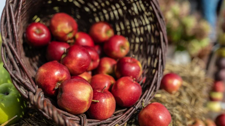 Red apples spilling from a wicker basket onto straw.