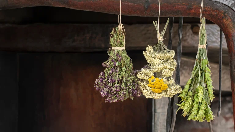 Bundles of dried herbs and flowers hanging from twine against a rustic background.