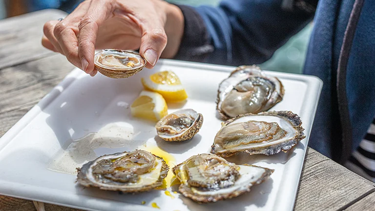 Person holding an oyster over a plate of fresh oysters and lemon wedges.