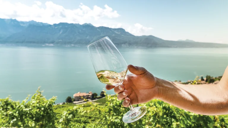 Hand holding a wine glass overlooking vineyards and a lake with mountains in the background.