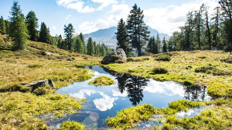 Mountain meadow with a small pond reflecting trees and blue sky with clouds.