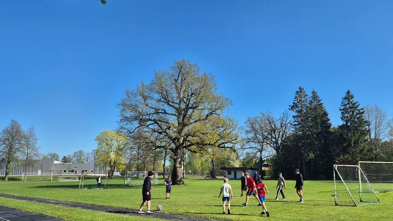 Children playing soccer on a grassy field under a clear blue sky.