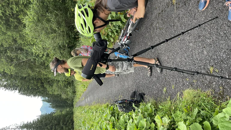 Three people with hiking poles and a dog observe nature on a forest trail.