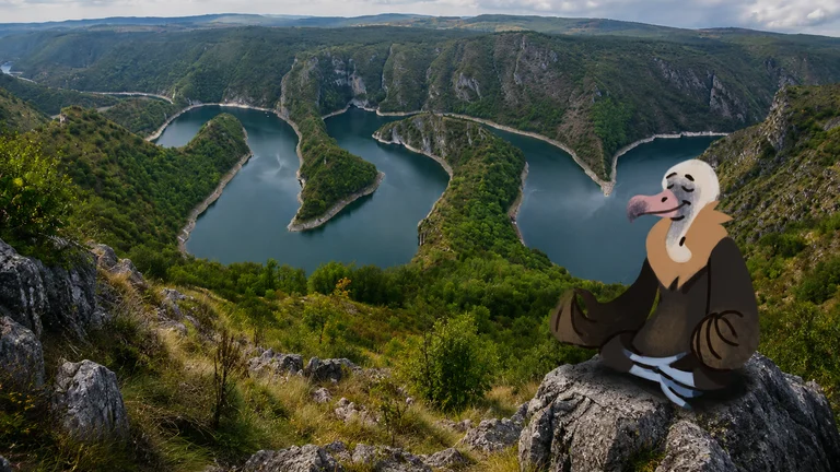 Cartoon vulture in robes meditating on a rock above a winding river canyon.